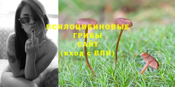 кристаллы Дмитриев
