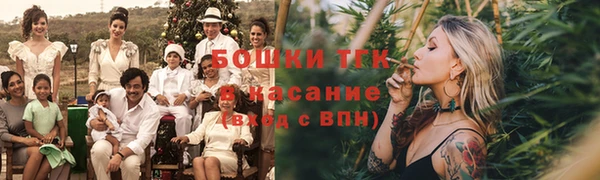 мдпв Дмитров