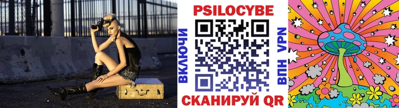 Купить  Узловая  Псилоцибиновые грибы мицелий 